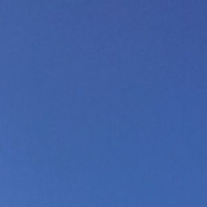 Meet your Posher, Cynthia